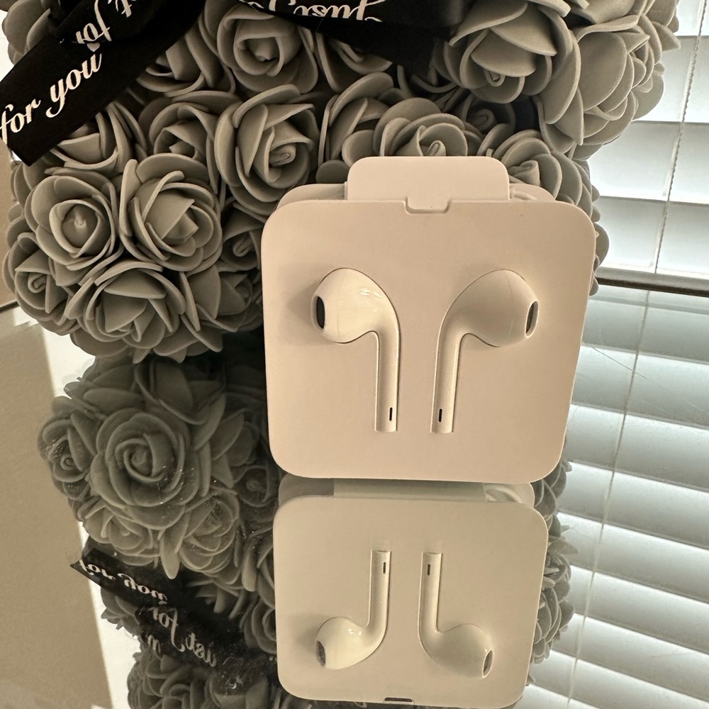 Apple wired headphones